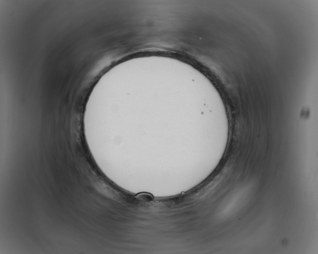 X0000101661355200808071011