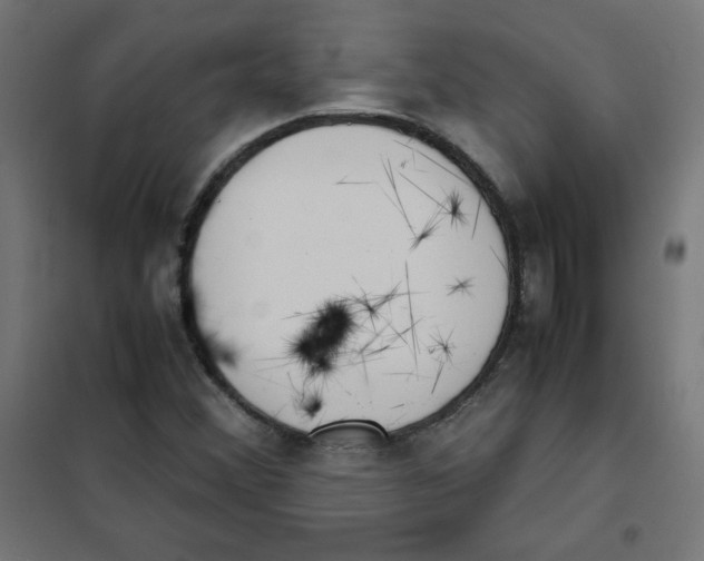 X0000101661356200808071011