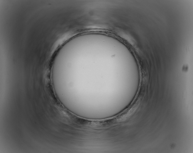 X0000101661357200808071011