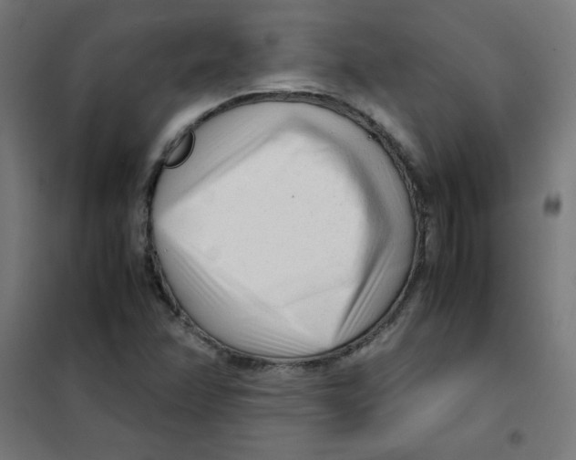 X0000101661358200808071011