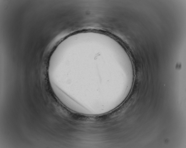 X0000101661359200808071011
