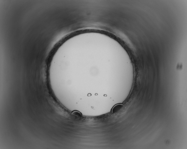 X0000101661360200808071011