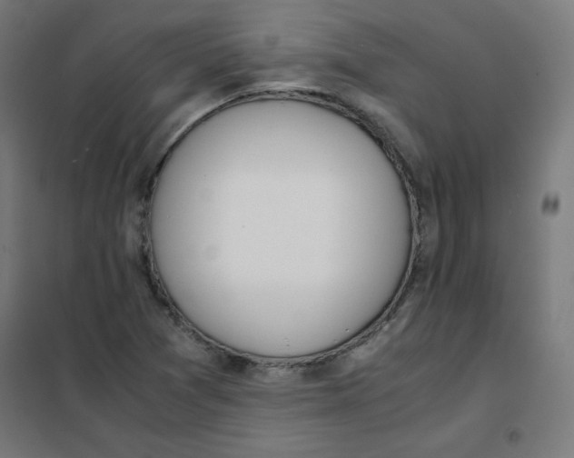 X0000101661361200808071011