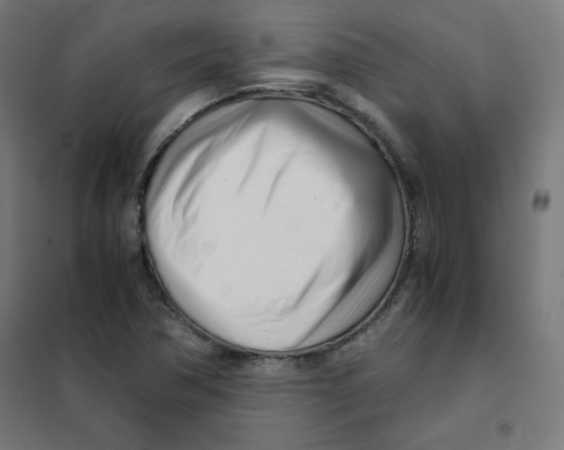 X0000101661362200808071011