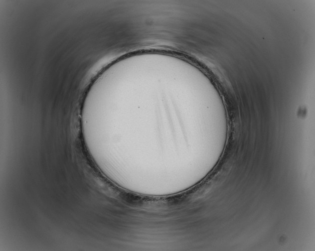 X0000101661363200808071011