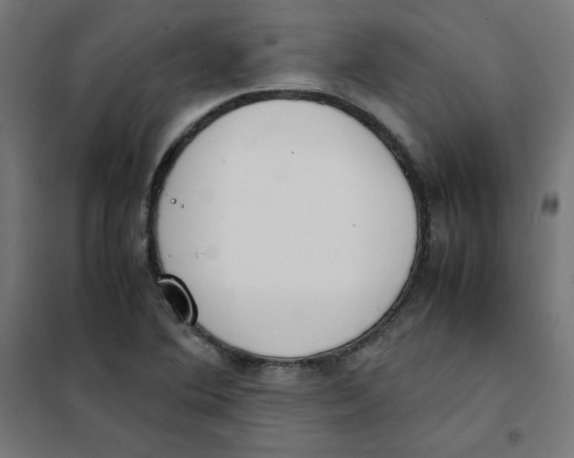 X0000101661364200808071011