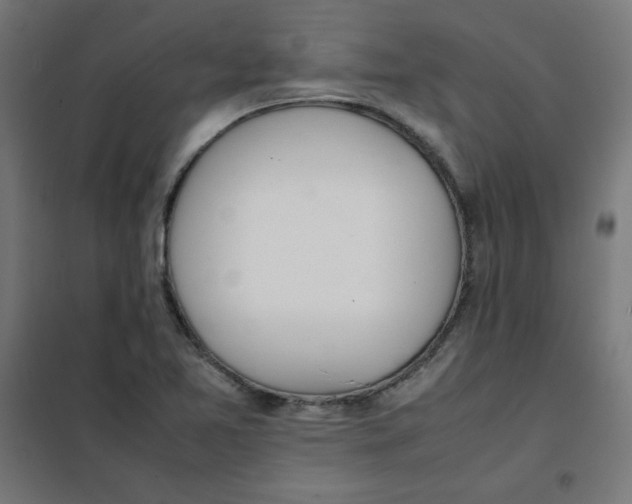 X0000101661365200808071011