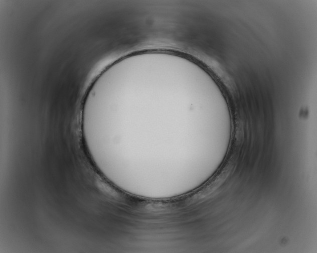 X0000101661366200808071011