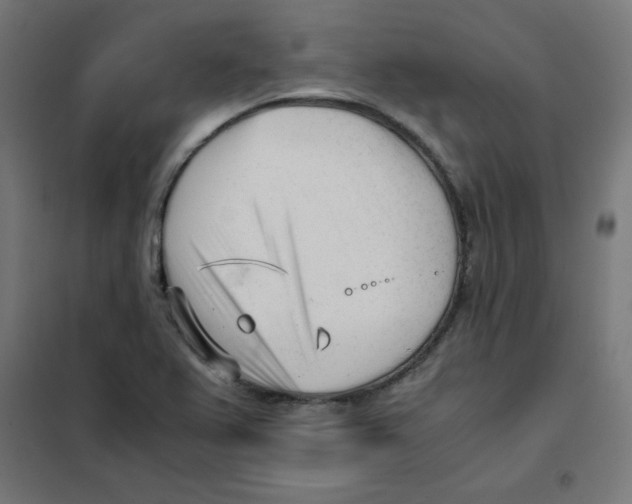 X0000101661367200808071011