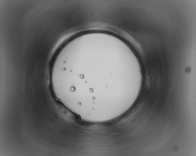 X0000101661368200808071011