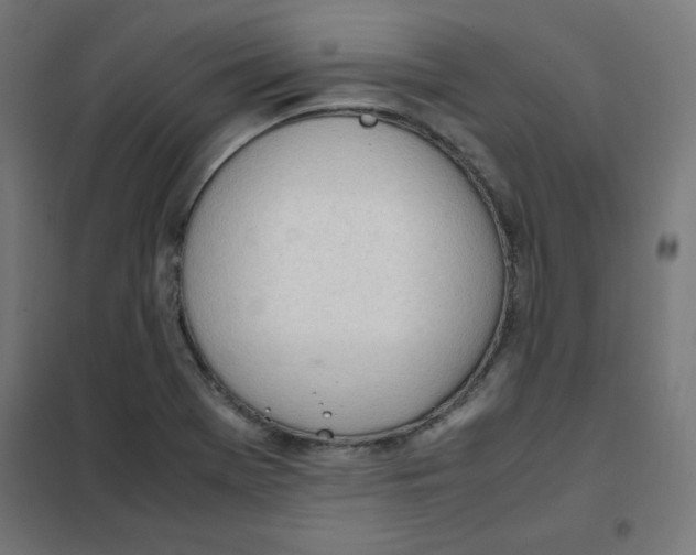 X0000101661369200808071011
