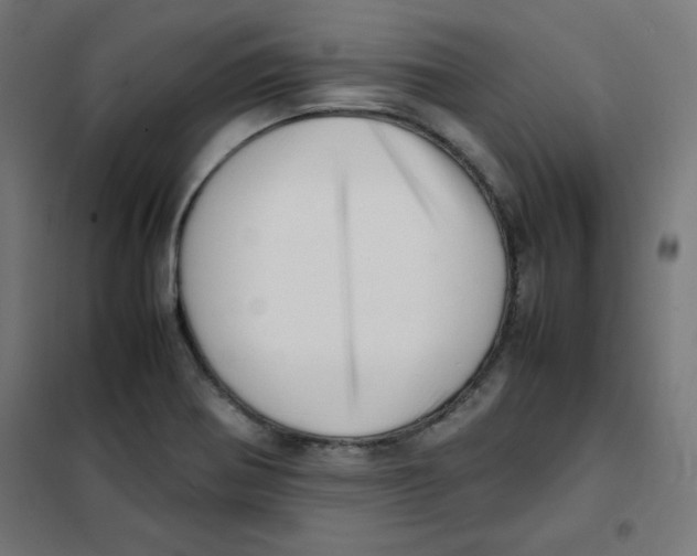 X0000101661370200808071011