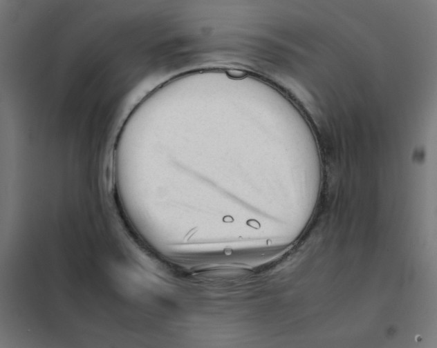 X0000101661371200808071011