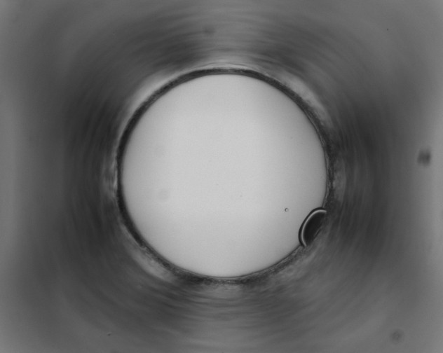 X0000101661372200808071011
