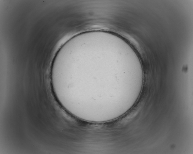 X0000101661373200808071011