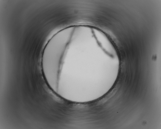 X0000101661374200808071011