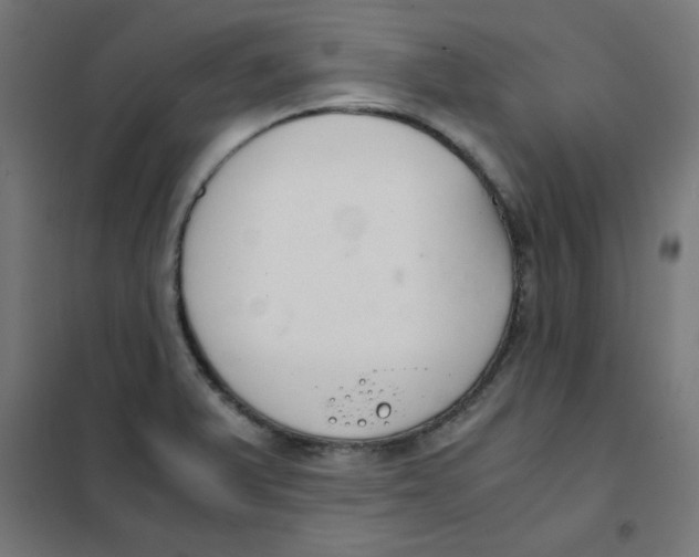 X0000101661375200808071011
