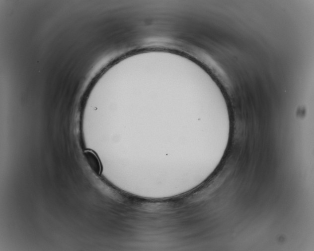 X0000101661376200808071011