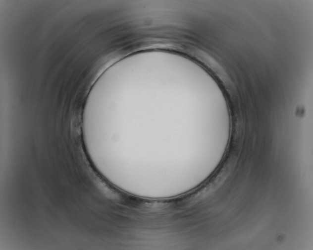 X0000101661377200808071011