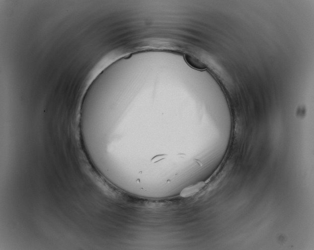 X0000101661378200808071011