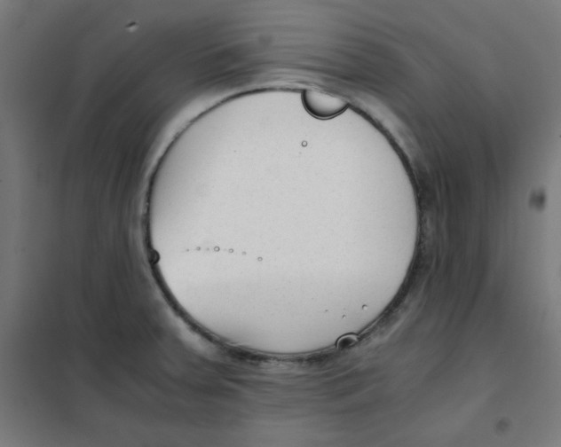 X0000101661379200808071011