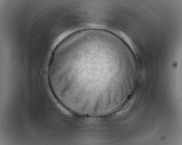 X0000101661381200808071011