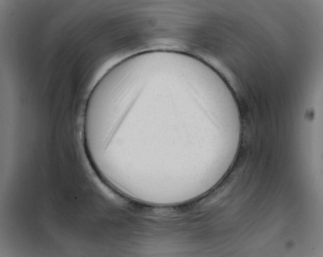 X0000101661383200808071011