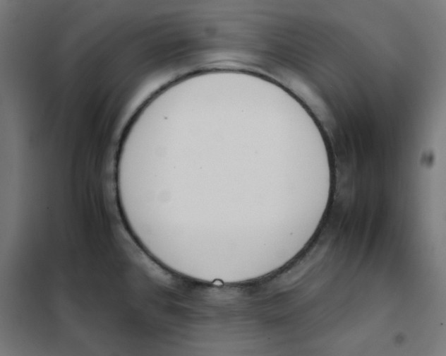 X0000101661384200808071011