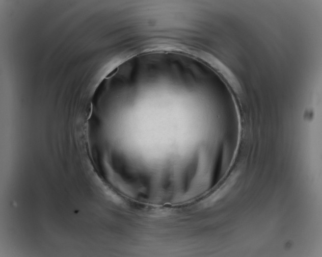 X0000101661385200808071011