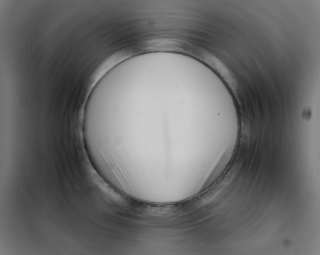 X0000101661386200808071011
