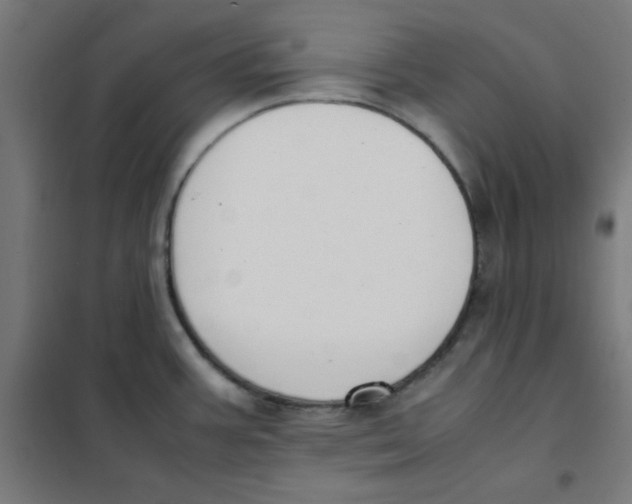 X0000101661387200808071011