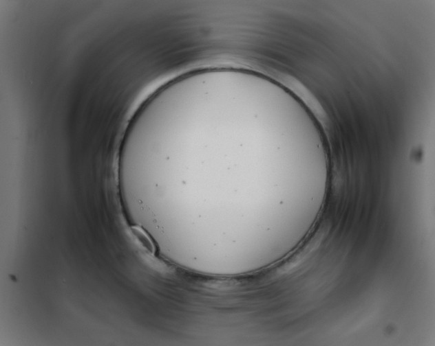 X0000101661388200808071011