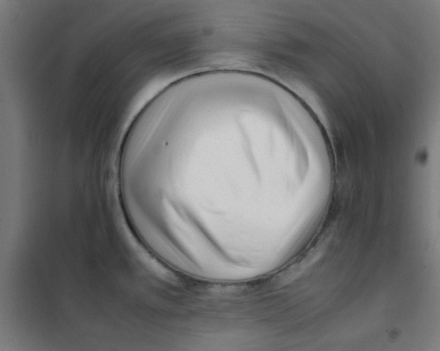 X0000101661389200808071011