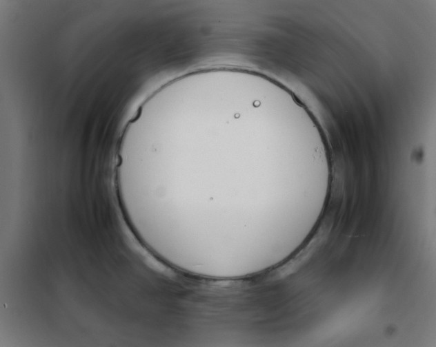 X0000101661390200808071010
