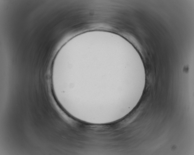 X0000101661391200808071010