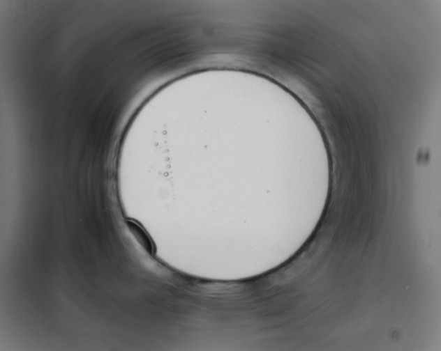 X0000101661392200808071010