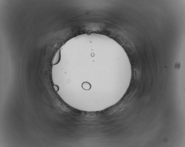 X0000101661393200808071010