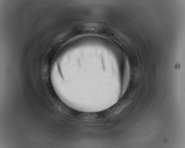 X0000101661394200808071010