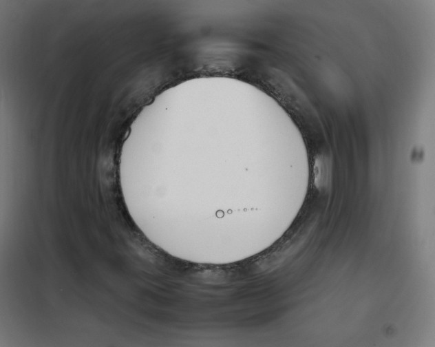 X0000101661395200808071010