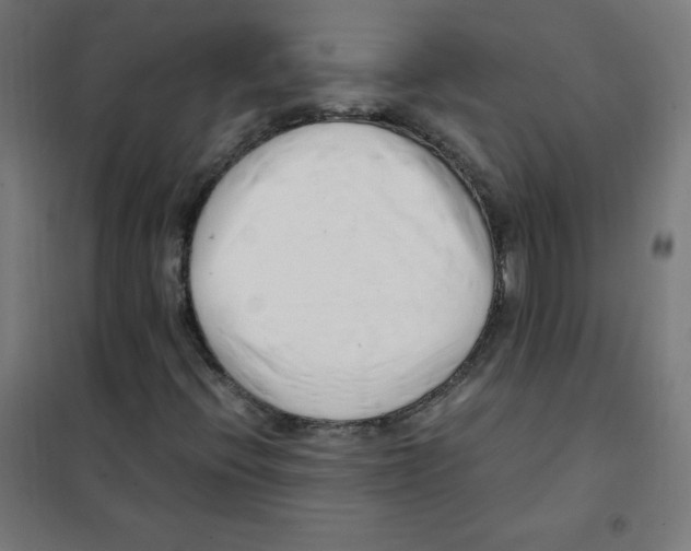 X0000101661396200808071010