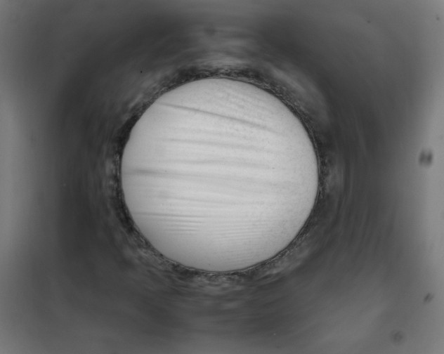 X0000101661397200808071010