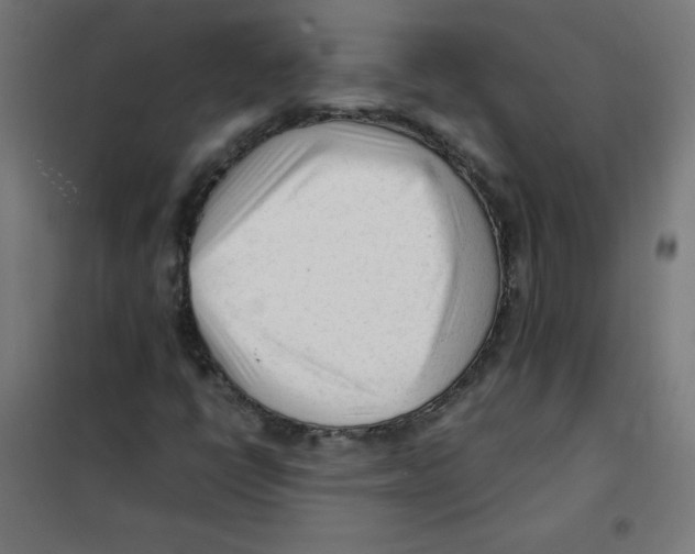 X0000101661398200808071010