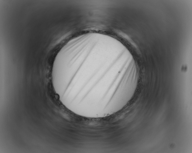 X0000101661399200808071010