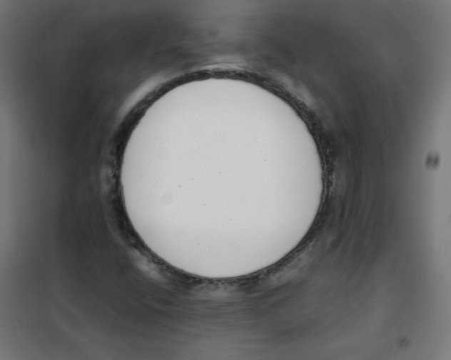 X0000101661400200808071010