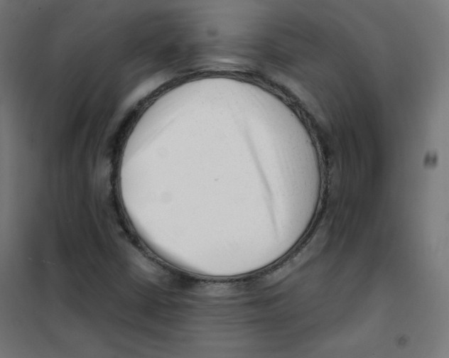 X0000101661402200808071010