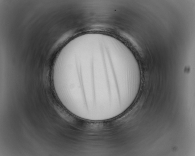 X0000101661403200808071010