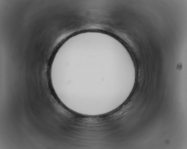 X0000101661404200808071010