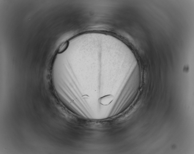 X0000101661405200808071010