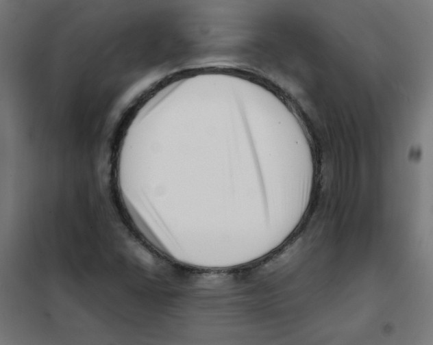 X0000101661406200808071010