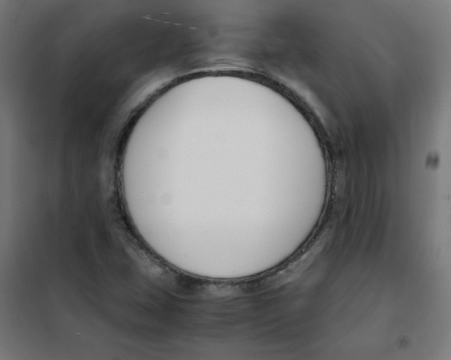 X0000101661407200808071010